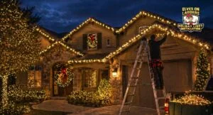 What Happens If You Wait Until November to Book Christmas Lights?